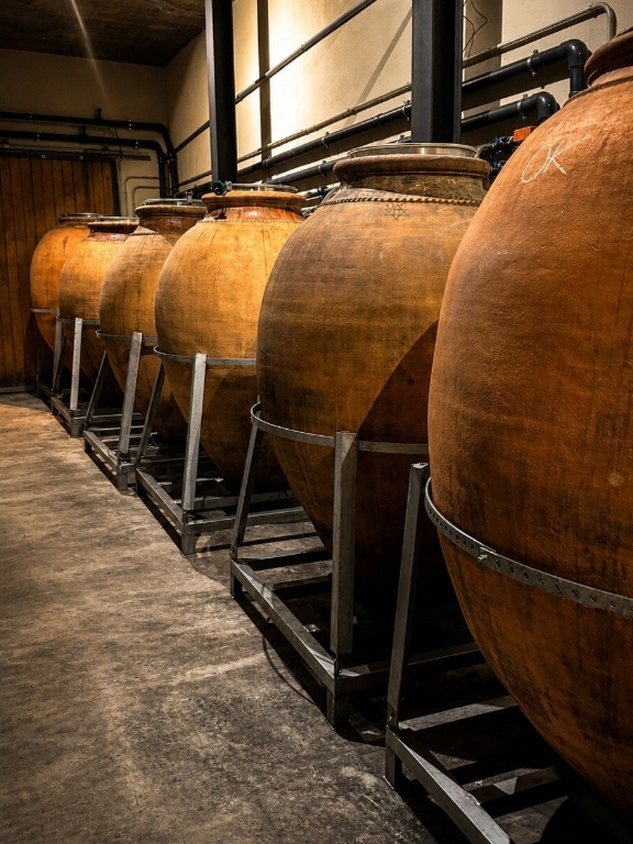 Visites a cellers - Àmfores i criança tradicional de vi